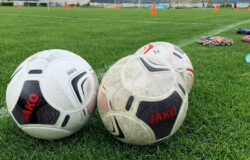 Шесть клубов начали чемпионат Брянской области по футболу с двух побед