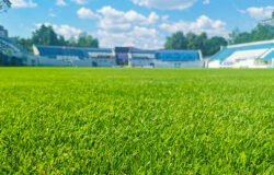 Эксперты РФС высоко оценили уровень готовности стадионов “Динамо” и “Десна” к новому футбольному сезону
