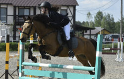 В “Журавке” прошли Чемпионат и Первенство области по конному спорту